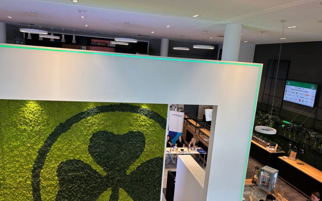 Greuther Fürth V.I.P. Bereich, Link zum Beitrag "5.Azubinammidooch bei der Spielvereinigung"