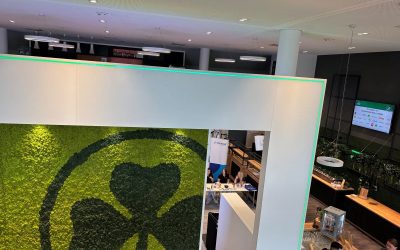 5. Azubinamidooch bei der Spielvereinigung