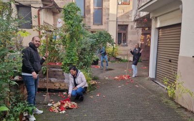 FILLA M17 Blitzlicht 2025 zehn