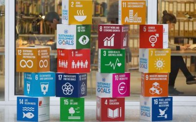 Was hat die Sprachbrücke mit BNE zu tun: Bildung für Nachhaltige Entwicklung?