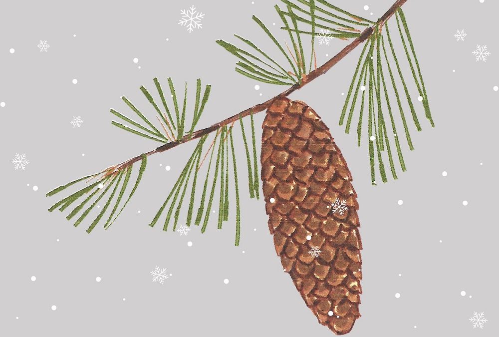 Link zum Bild: Weihnachtsgruss von ELAN