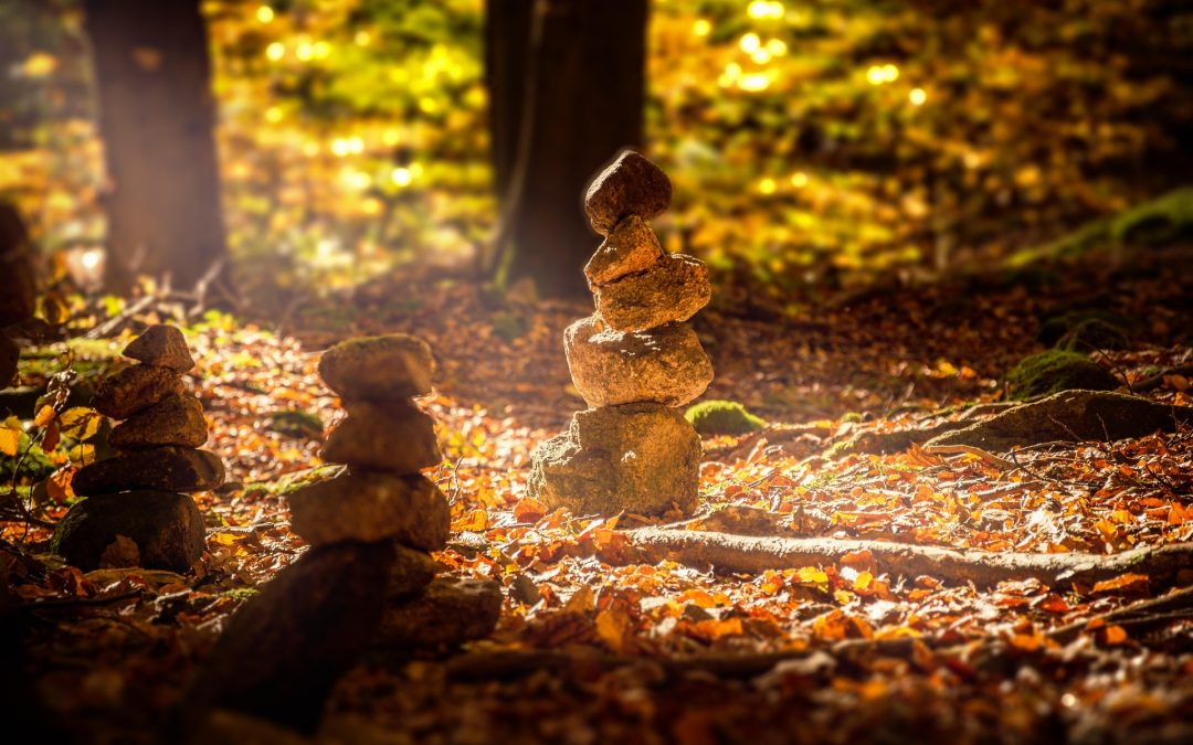 Link zum Beitrag: Die Sprachbrücke – klein und fein und doch groß vernetzt